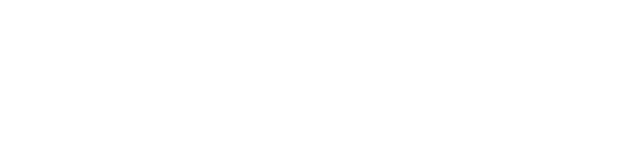 Metro Project Services
